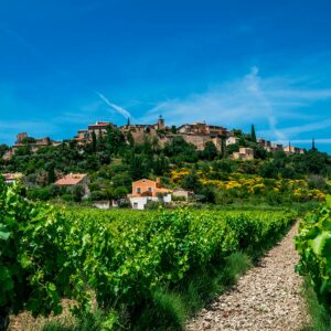 Atelier Œnologie "Vins de Rhône"